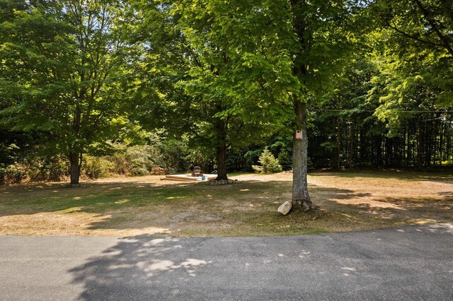 11758 Woodview Trl, Gaylord, MI 49735 - view of yard