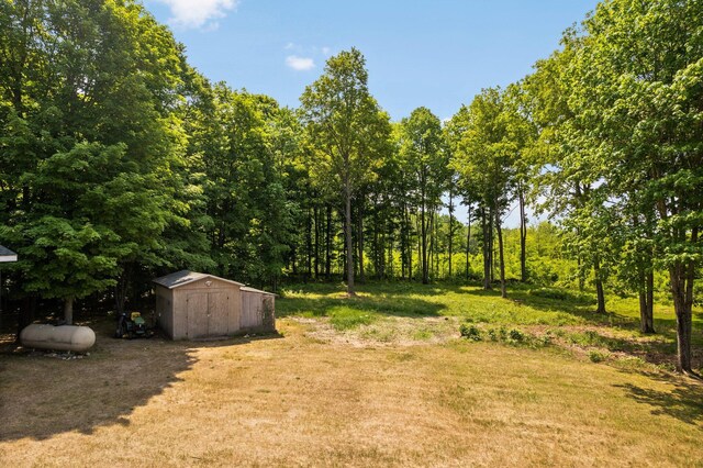11758 Woodview Trl, Gaylord, MI 49735 - view of yard featuring a storage shed and an outdoor structure