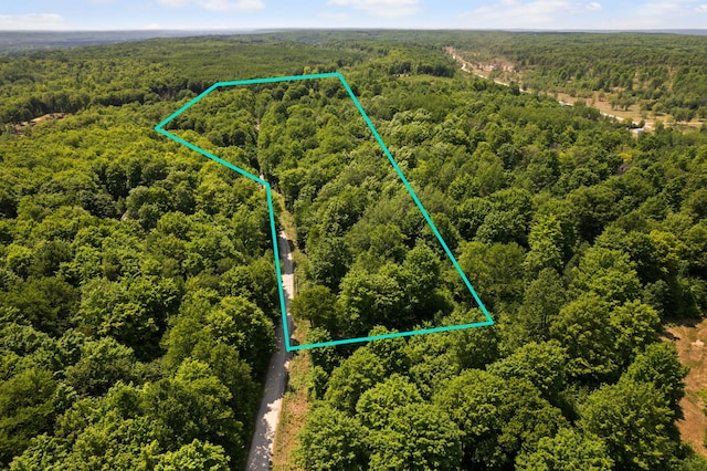 11758 Woodview Trl, Gaylord, MI 49735 - aerial overview of property's location with a forest and property parcel outlined