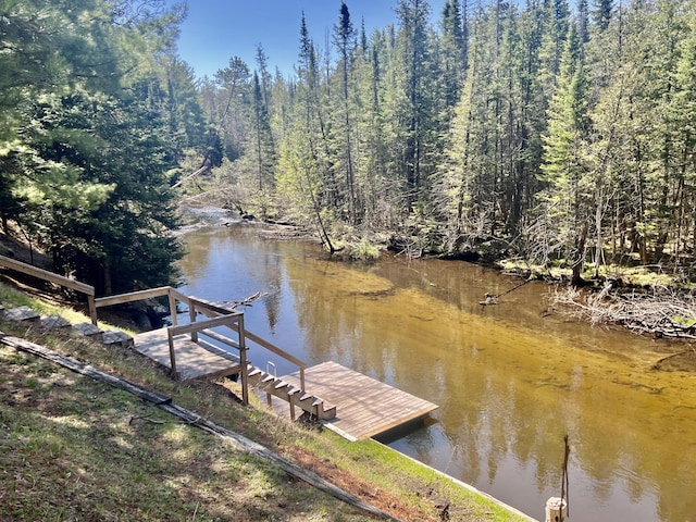 6475 W Legner Trl, Grayling, MI 49738 - view of dock
