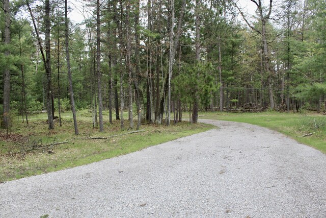 6475 W Legner Trl, Grayling, MI 49738 - view of street featuring a wooded view