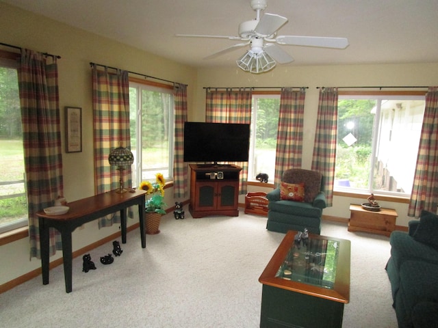 541 Ranch Rd, Indian River, MI 49749 - living room featuring baseboards, carpet flooring, and healthy amount of natural light