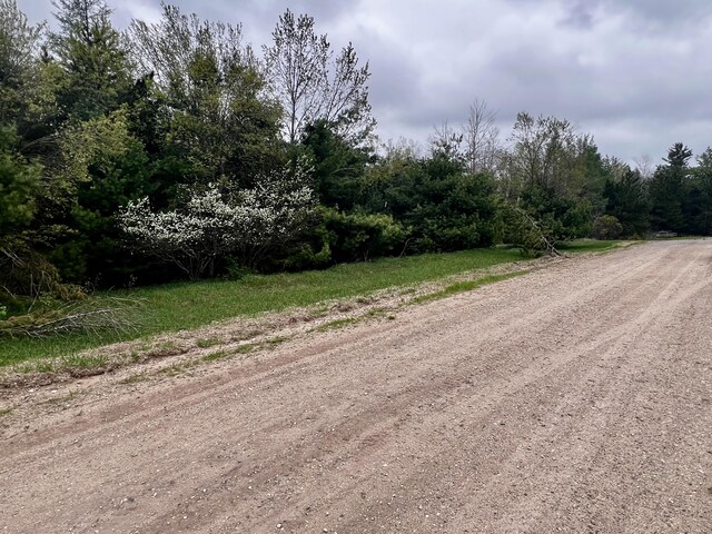 3662 Par Four Dr, Wolverine, MI 49799 - photo 3