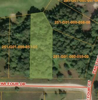 3662 Par Four Dr, Wolverine, MI 49799