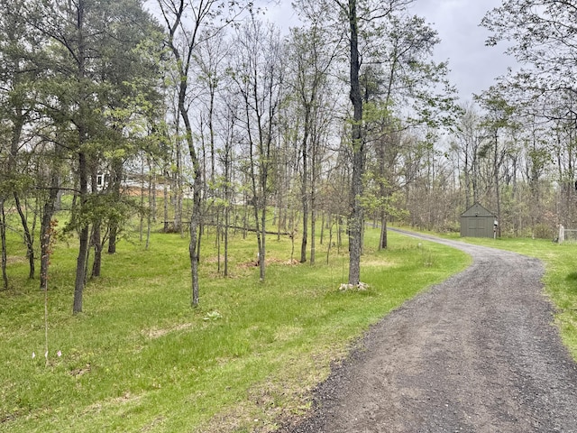870 Dalton Dr, Rose City, MI 48654 - view of dirt / gravel road