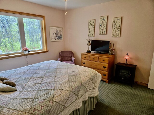 870 Dalton Dr, Rose City, MI 48654 - view of carpeted bedroom