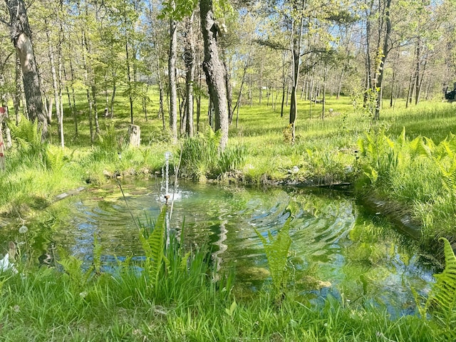 870 Dalton Dr, Rose City, MI 48654 - water view