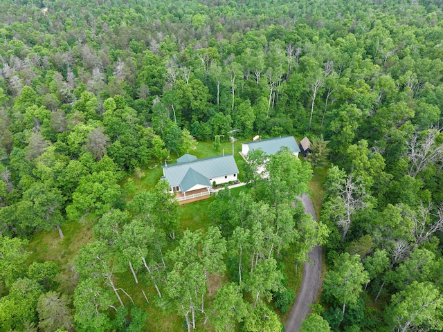 870 Dalton Dr, Rose City, MI 48654 - aerial overview of property's location with a heavily wooded area