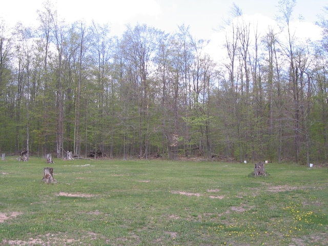 5198 Troopers Trl, Frederic, MI 49733 - view of property's community featuring a lawn and a forest view