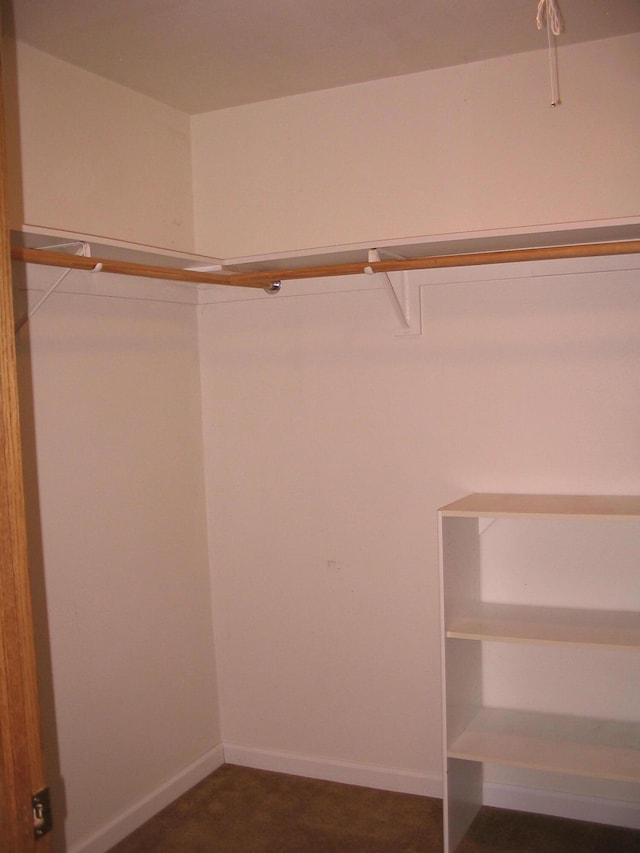 5198 Troopers Trl, Frederic, MI 49733 - view of spacious closet