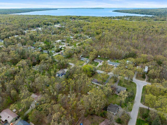 6727 Fisher Woods Rd, Indian River, MI 49749 - aerial overview of property's location with a forest and a large body of water