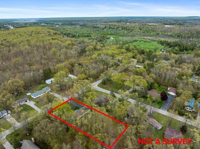 6727 Fisher Woods Rd, Indian River, MI 49749 - aerial view of property's location featuring a forest and property parcel outlined