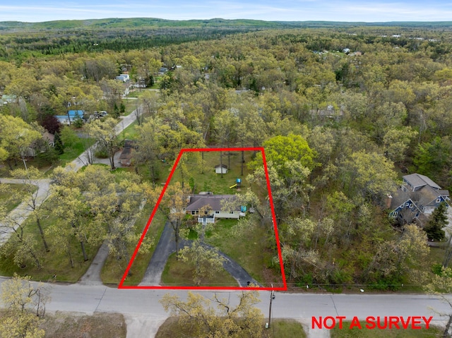 6727 Fisher Woods Rd, Indian River, MI 49749 - view of property location featuring a heavily wooded area and property boundaries highlighted