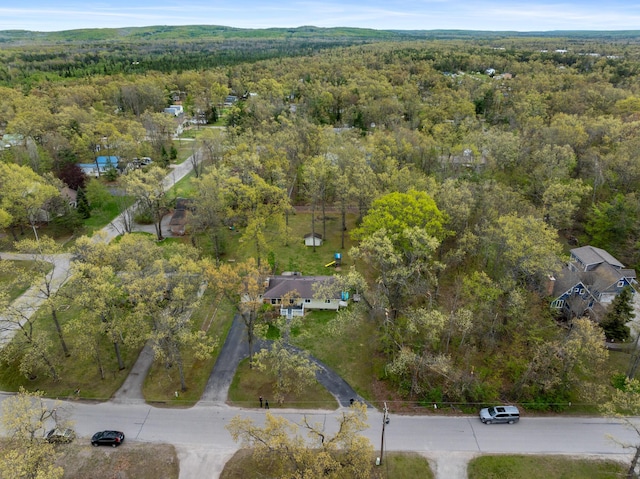 6727 Fisher Woods Rd, Indian River, MI 49749 - aerial view of property's location featuring a heavily wooded area