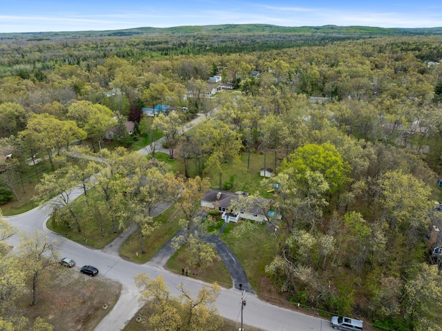 6727 Fisher Woods Rd, Indian River, MI 49749 - aerial view of property and surrounding area featuring a forest