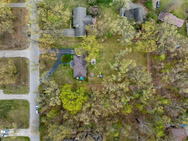 6727 Fisher Woods Rd, Indian River, MI 49749 - aerial view