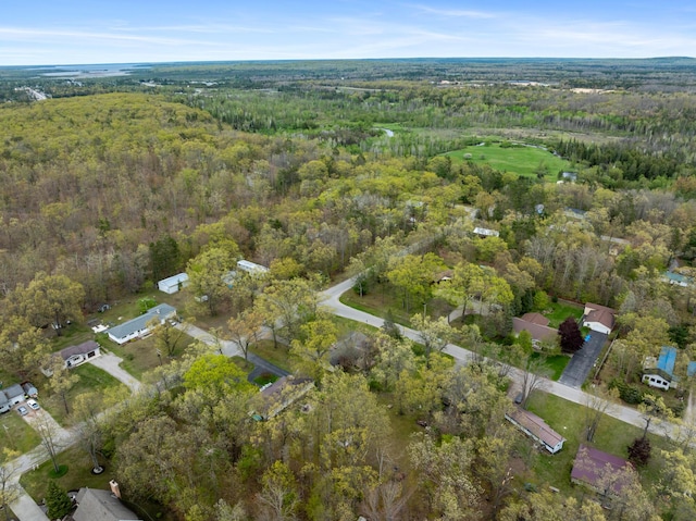 6727 Fisher Woods Rd, Indian River, MI 49749 - aerial view of property's location featuring a heavily wooded area