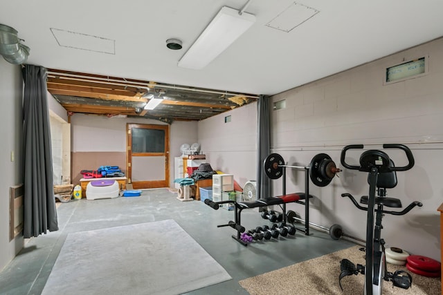 6727 Fisher Woods Rd, Indian River, MI 49749 - workout room with concrete block wall