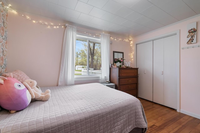 6727 Fisher Woods Rd, Indian River, MI 49749 - bedroom with hardwood / wood-style floors and a closet