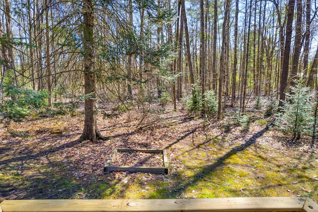 12425 Birch St, Atlanta, MI 49709 - photo 4