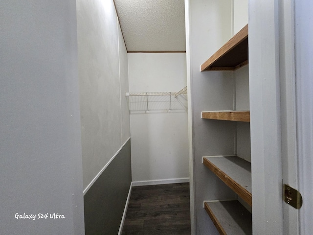 72 Chelsey Ln, Cheboygan, MI 49721 - spacious closet with wood finished floors