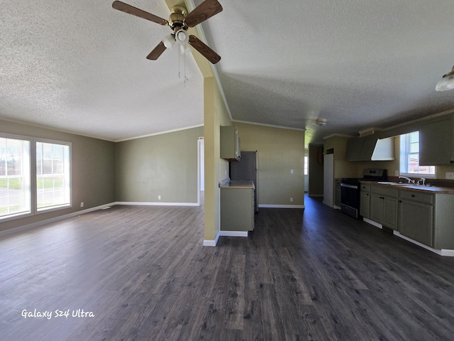 72 Chelsey Ln, Cheboygan, MI 49721 - unfurnished living room featuring a textured ceiling, dark wood finished floors, crown molding, ceiling fan, and baseboards