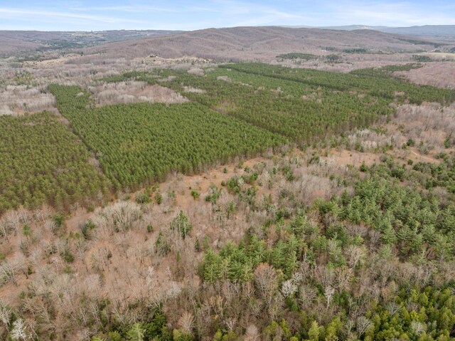 2286 Maxwell Rd, Petoskey, MI 49770 - view of property location with mountains
