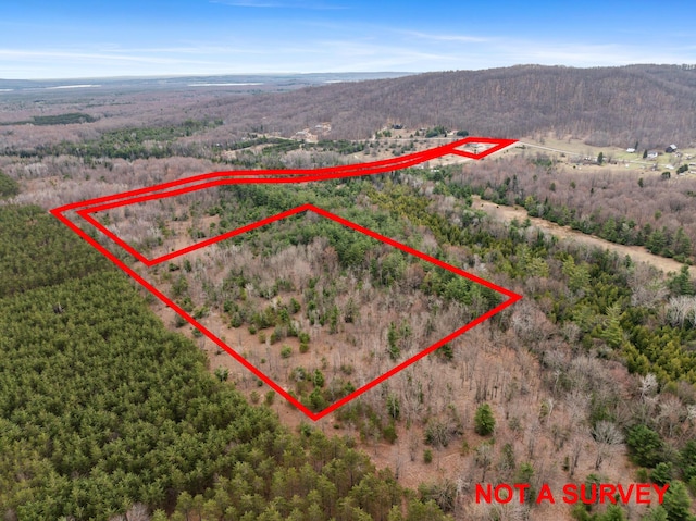 2286 Maxwell Rd, Petoskey, MI 49770 - view of property location with property boundaries highlighted, a heavily wooded area, and a mountain backdrop