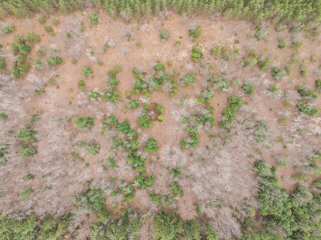 2286 Maxwell Rd, Petoskey, MI 49770 - aerial view