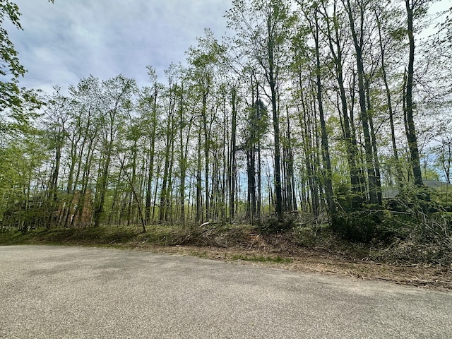 Deer Woods Dr, Gaylord, MI 49735