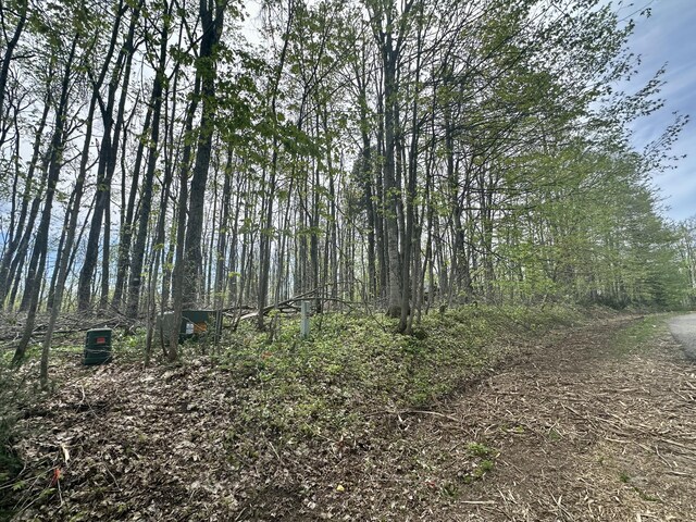 Deer Woods Dr, Gaylord, MI 49735