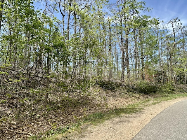 Deer Woods Dr, Gaylord, MI 49735