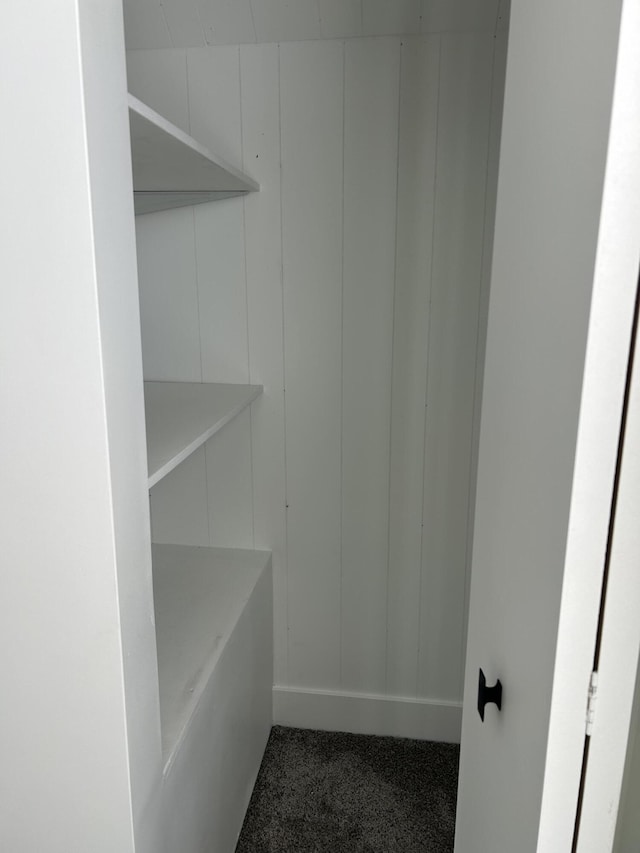 1033 S First Ave, Alpena, MI 49707 - view of closet