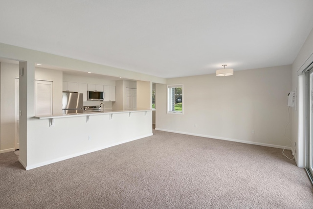 2067 Woods Ln, Petoskey, MI 49770 - unfurnished living room with light carpet and baseboards