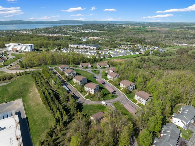 2067 Woods Ln, Petoskey, MI 49770 - aerial view of property's location with a nearby body of water, a heavily wooded area, and nearby suburban area
