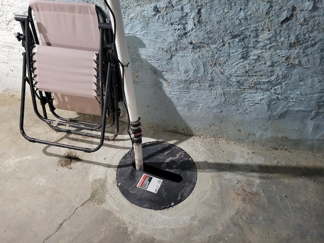 420 W Miller St, Alpena, MI 49707 - basement view of pet washing station and concrete flooring