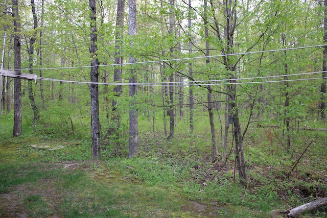 2426 W Park Rd, Mio, MI 48647 - view of wooded area