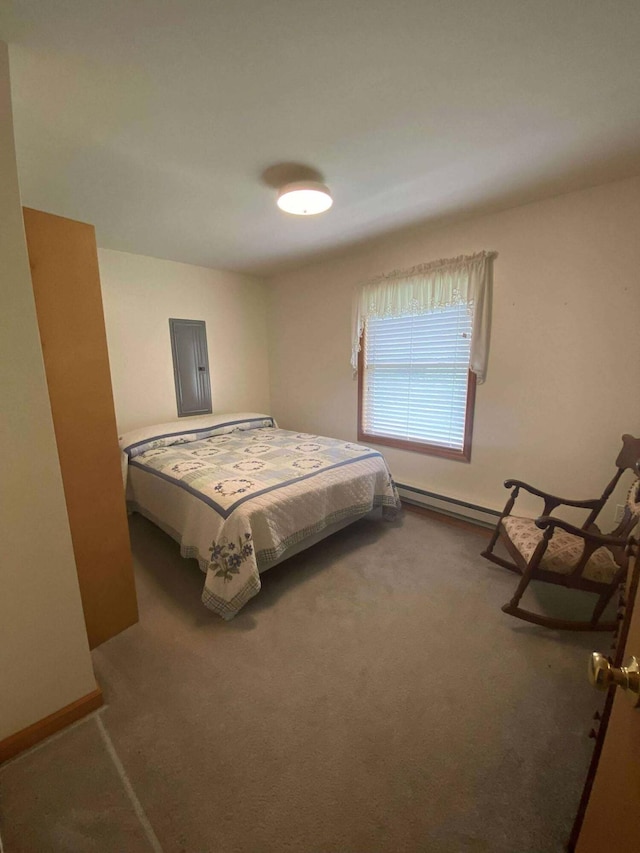 2426 W Park Rd, Mio, MI 48647 - bedroom featuring baseboard heating and carpet