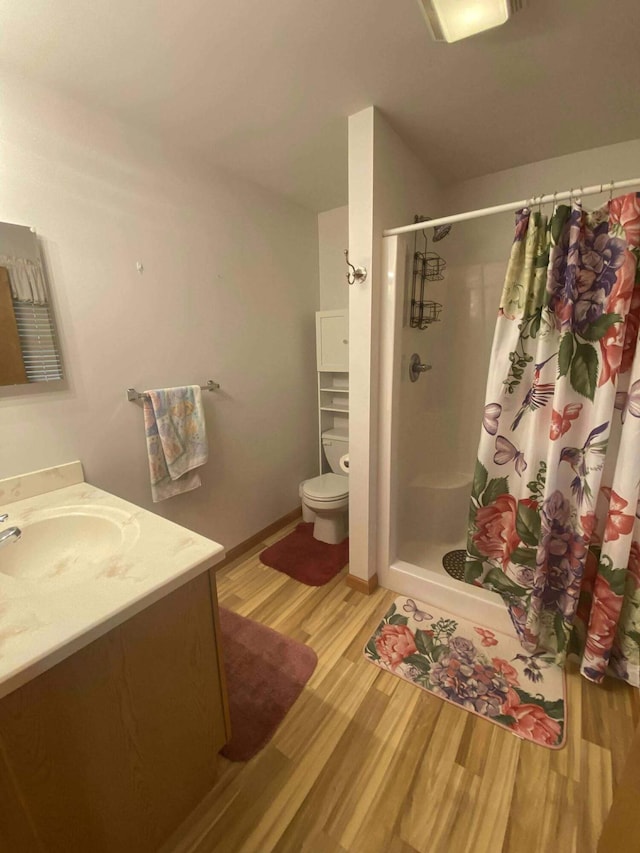 2426 W Park Rd, Mio, MI 48647 - bathroom with a stall shower, wood finished floors, toilet, and vanity