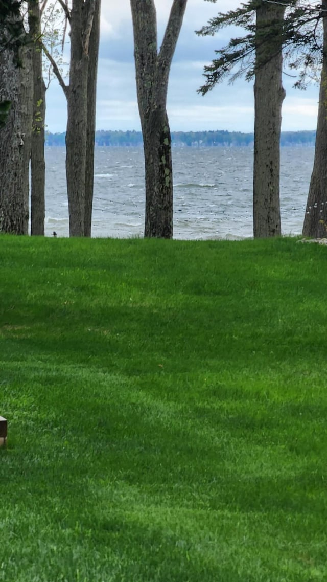 610 Old Trail Dr, Houghton Lake, MI 48629 - water view