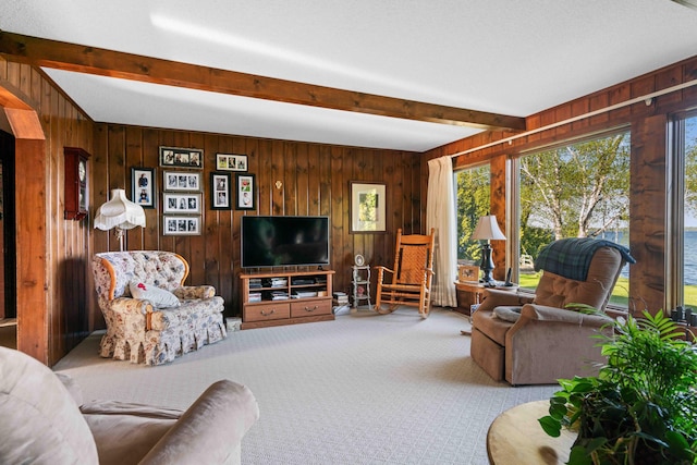 6620 N Straits Hwy, Cheboygan, MI 49721 - carpeted living room featuring wooden walls and beam ceiling