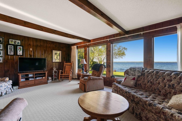 6620 N Straits Hwy, Cheboygan, MI 49721 - living room featuring a water view, wood walls, beam ceiling, and carpet floors