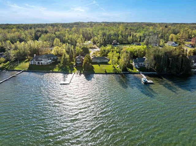 6620 N Straits Hwy, Cheboygan, MI 49721 - drone / aerial view of a forest and a large body of water