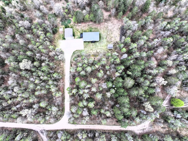 5844 Keipinger Trl, Grayling, MI 49738 - aerial overview of property's location