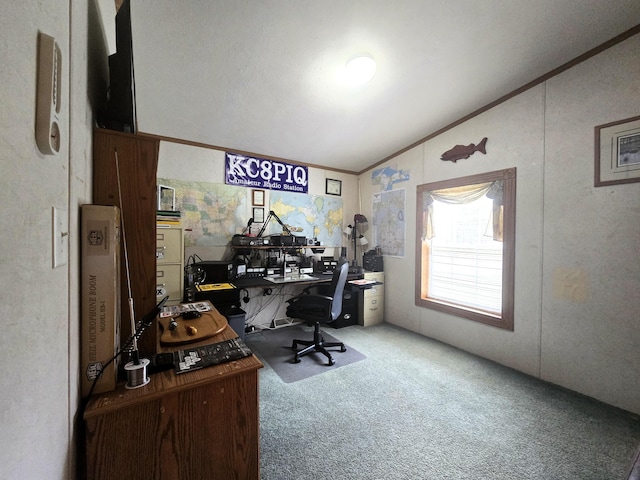 5844 Keipinger Trl, Grayling, MI 49738 - office space featuring carpet floors, lofted ceiling, and crown molding