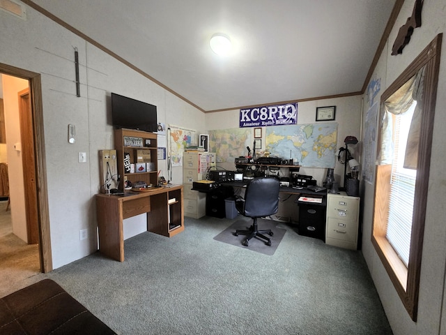 5844 Keipinger Trl, Grayling, MI 49738 - carpeted office with ornamental molding and vaulted ceiling