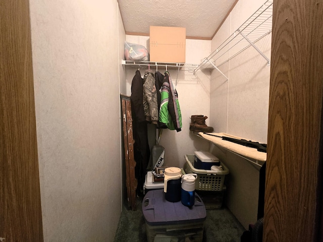 5844 Keipinger Trl, Grayling, MI 49738 - view of walk in closet