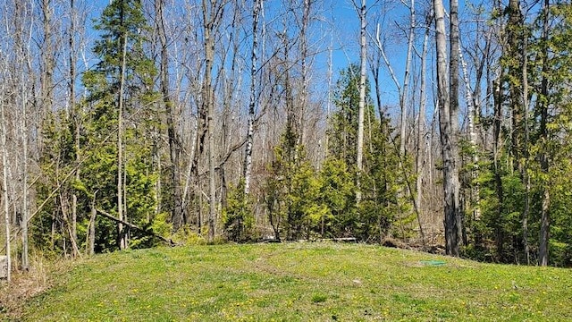 2738 Lakewood Dr, Alpena, MI 49707 - photo 21