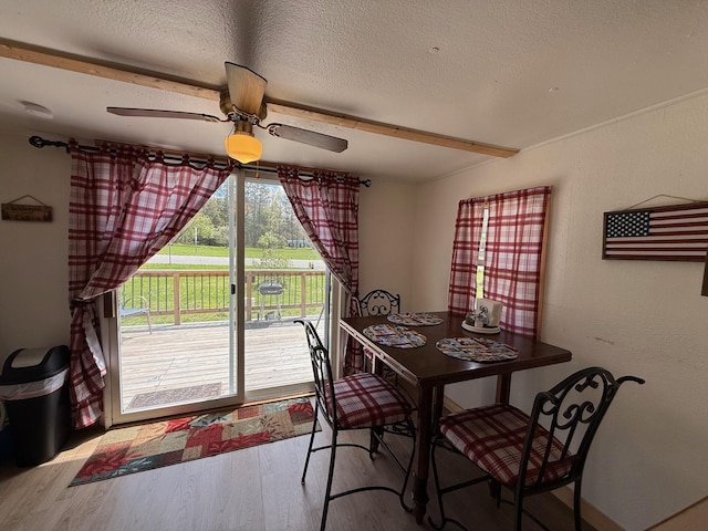 10117 M-18, Gladwin, MI 48624 - dining area featuring wood finished floors, a ceiling fan, a textured ceiling, and baseboards