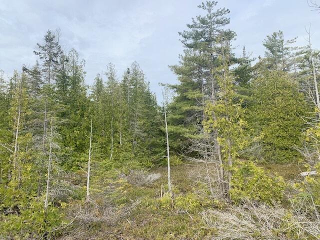 LOT18 Albany Point Rd, Presque Isle, MI 49777